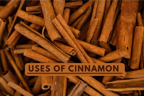 Health Benefits of Cinnamon You Should Know Better