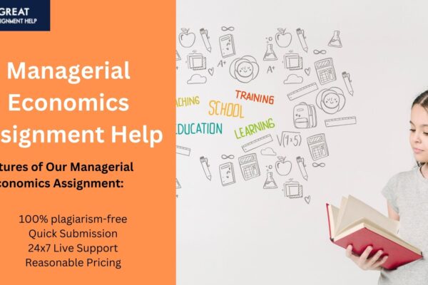 Top 7 Must-Needed Tips On The Process Of Developing A Perfect Managerial Economics Assignment