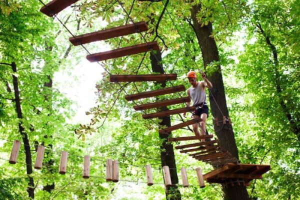 Embarking on a Thrilling Journey: Exploring the Wonders of an Adventure Park
